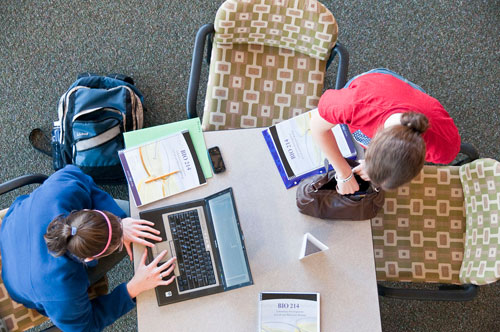 People at work at a library table
